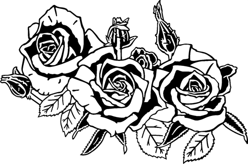 3 Roses08