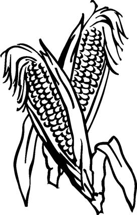 Corn05
